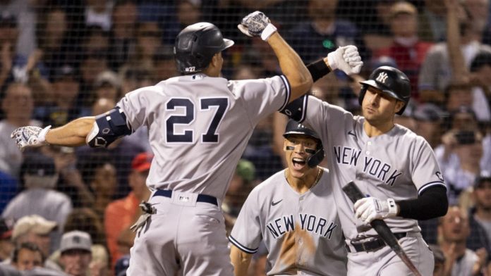 yankees-undefeated-through-six-games-since-adopting-team-pet-named-‘bronxie-the-turtle’