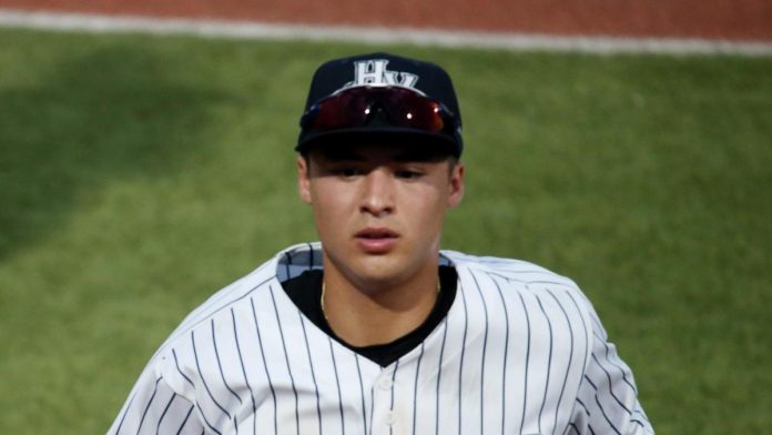 watch:-yankees’-top-prospect-anthony-volpe-inexplicably-ejected-after-home-run-in-high-a-game